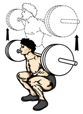 How to perform the squat